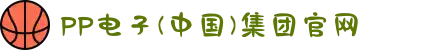 PP电子(中国)集团官网